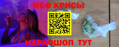 стафф Кингисепп