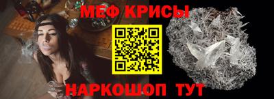 стафф Кингисепп