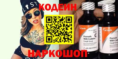 стафф Кингисепп