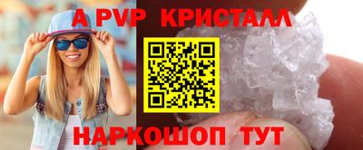 стафф Кингисепп
