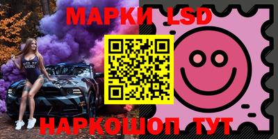стафф Кингисепп