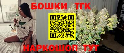 стафф Кингисепп