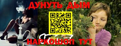 стафф Кингисепп