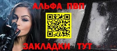 стафф Кингисепп