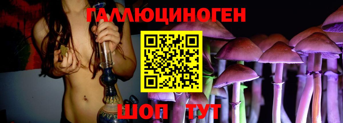 Псилоцибиновые грибы Magic Shrooms  Вход с VPN  купить наркоту  Котлас 